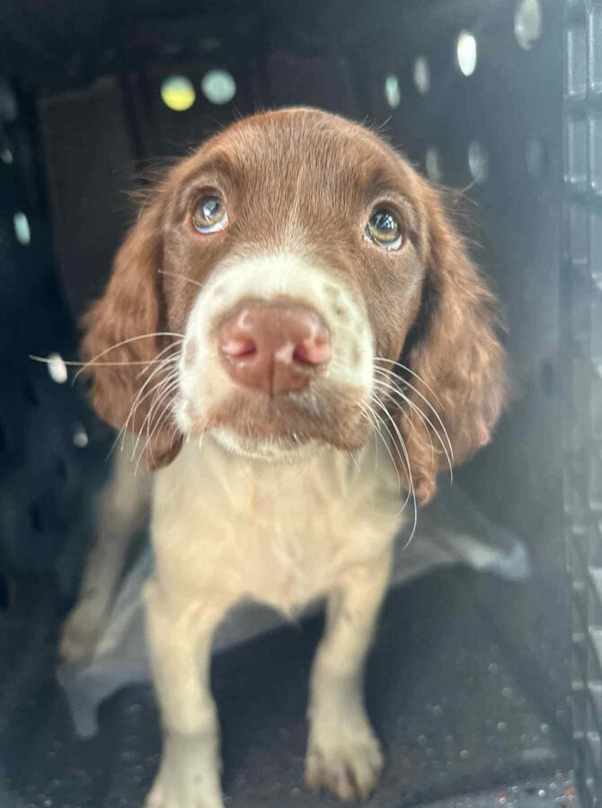 ⭐⭐⭐⭐⭐ Sarah M. “Couldn’t have asked for a smoother experience.