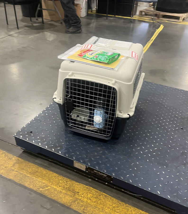 ⭐⭐⭐⭐⭐ Fatima R. “They handled all the complicated paperwork and logistics so I didn’t have to worry.