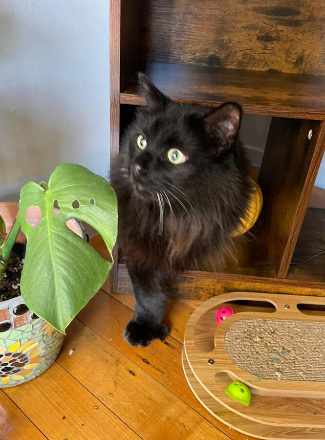 ⭐⭐⭐⭐⭐ Raj P. “Very professional and easy to work with