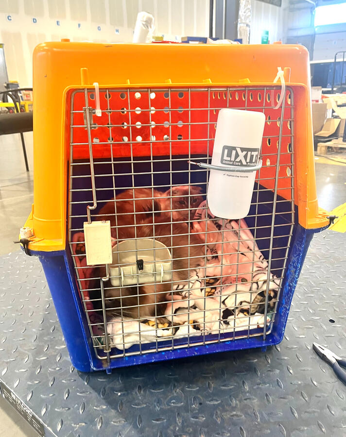 ⭐⭐⭐⭐⭐ Emily C. “Clear pricing, quick replies, and very organized.